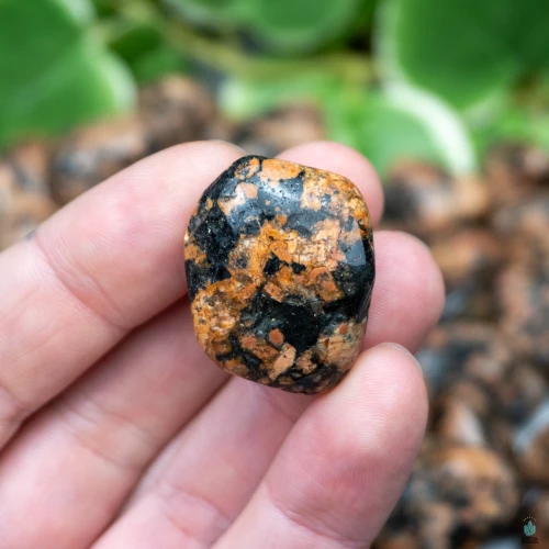 Luxullianite