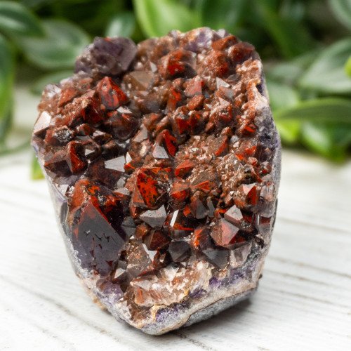 Alien Amethyst #2