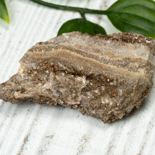 Smoky Quartz on Petrified Wood #3
