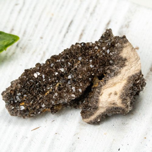 Smoky Quartz on Petrified Wood #2