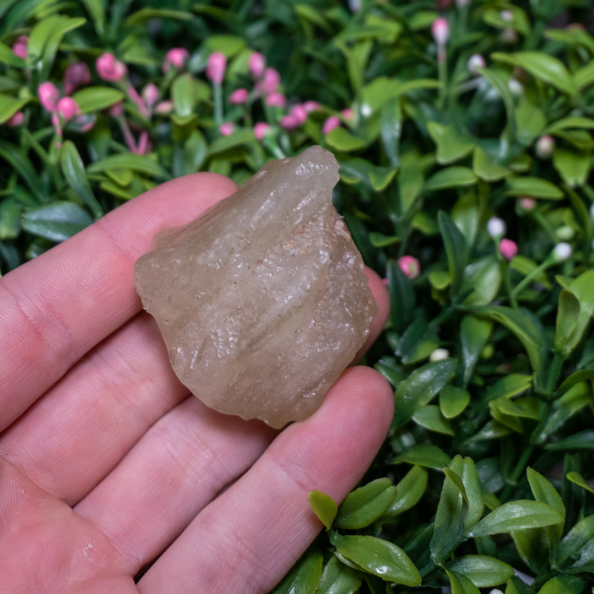 Large Libyan Desert Glass #1 - The Crystal Council