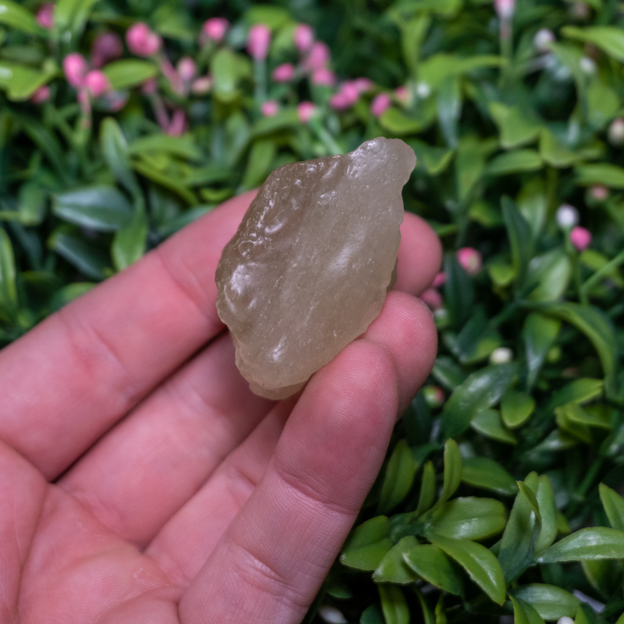 Large Libyan Desert Glass 1 The Crystal Council