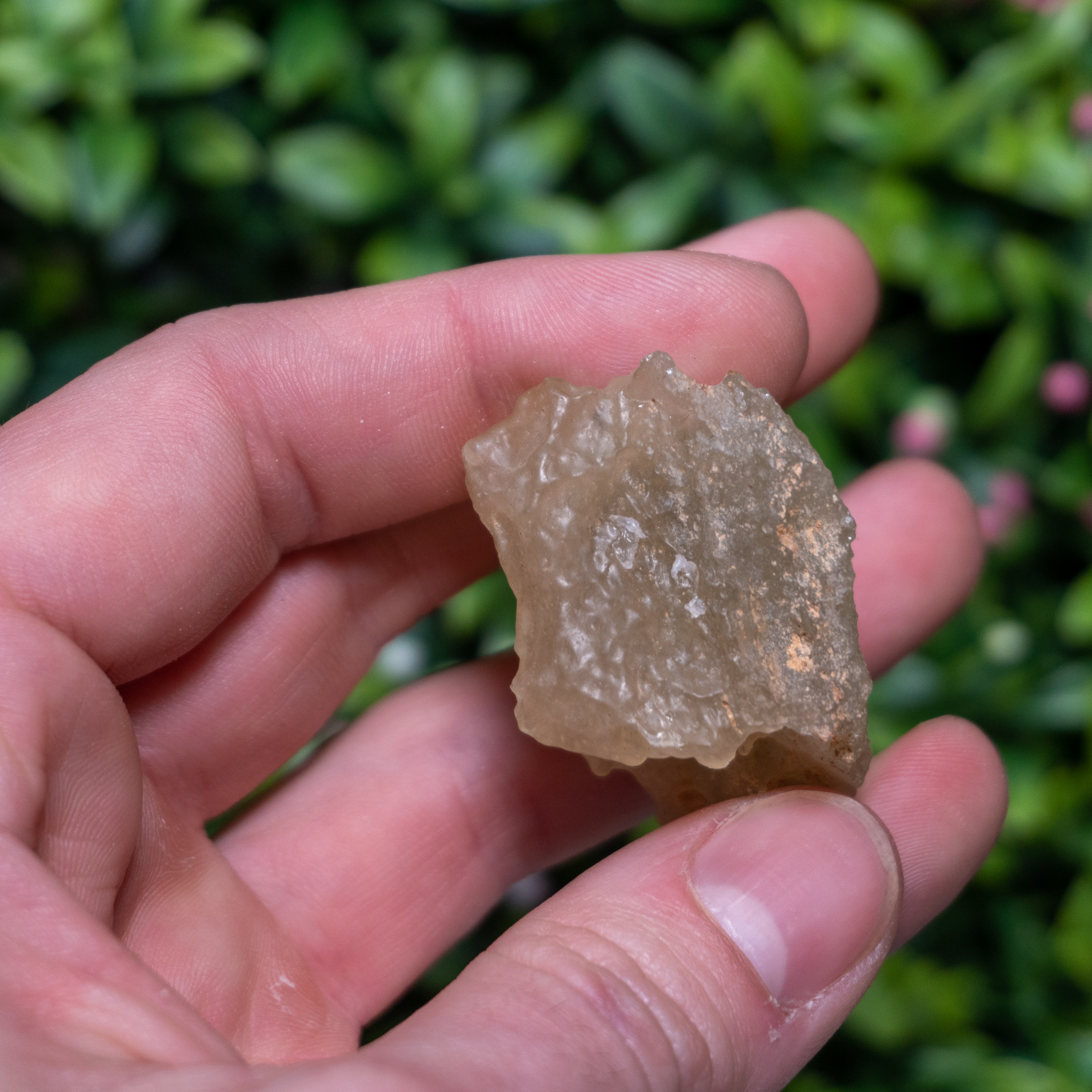 Large Libyan Desert Glass #3 - The Crystal Council