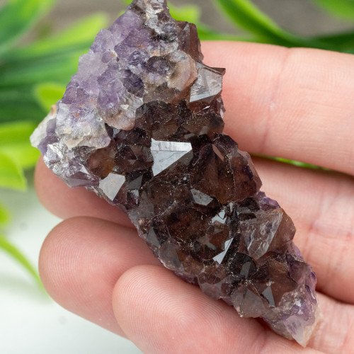 Auralite 23 #7