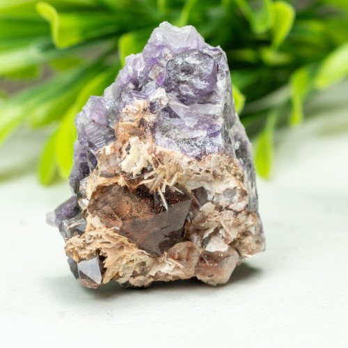 Auralite 23 #6