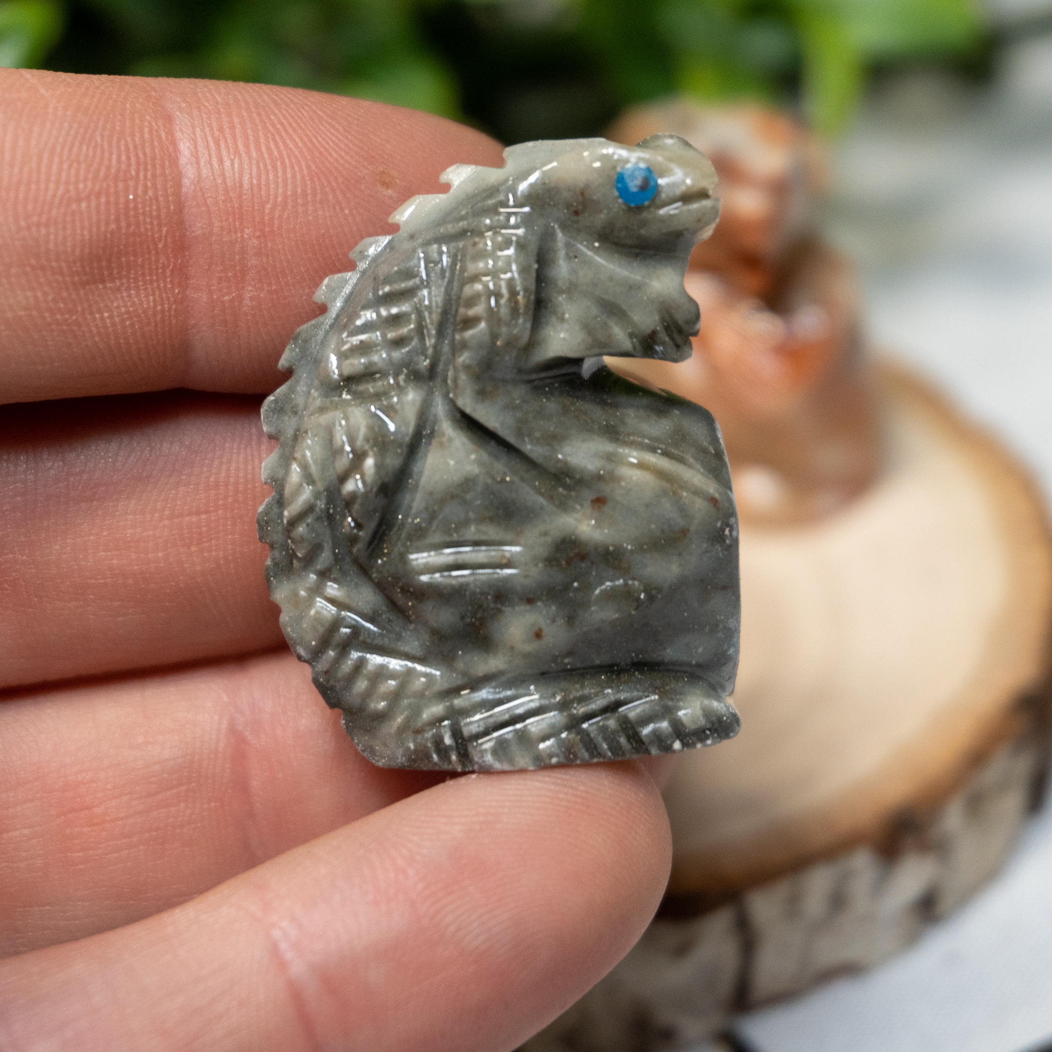 Dolomite Iguana on Rock