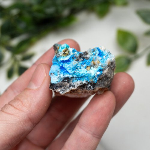 Cyanotrichite #1