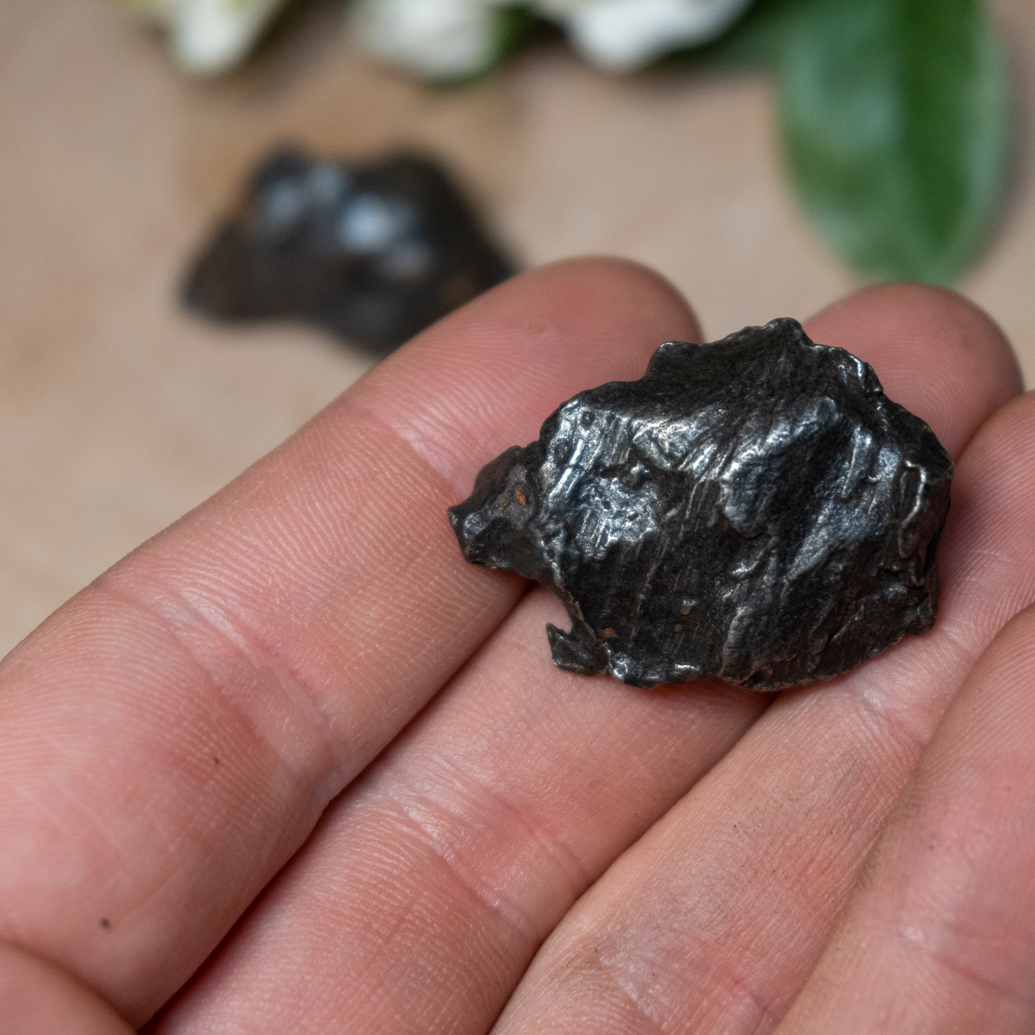 sikhote alin meteorite