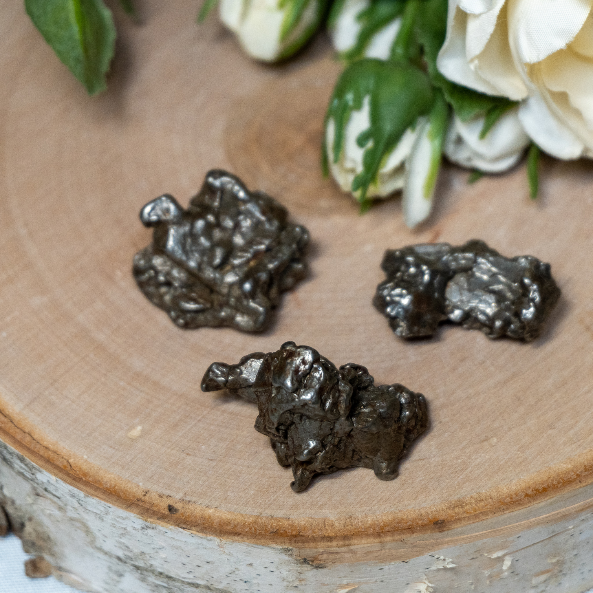 Small Campo Del Cielo Meteorite