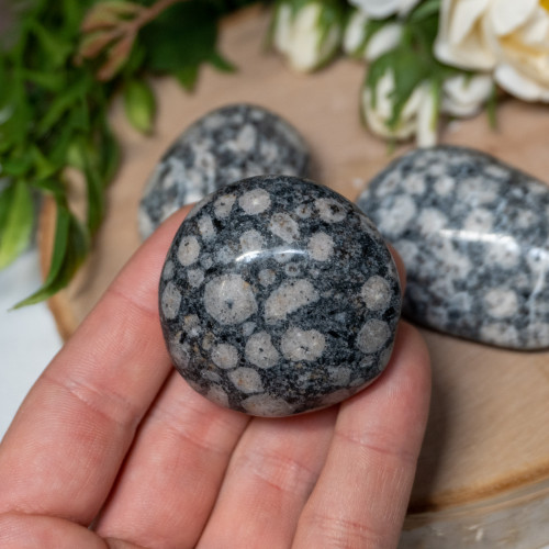 Leucitite Palmstone