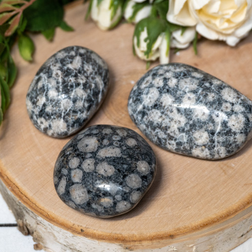 Leucitite Palmstone