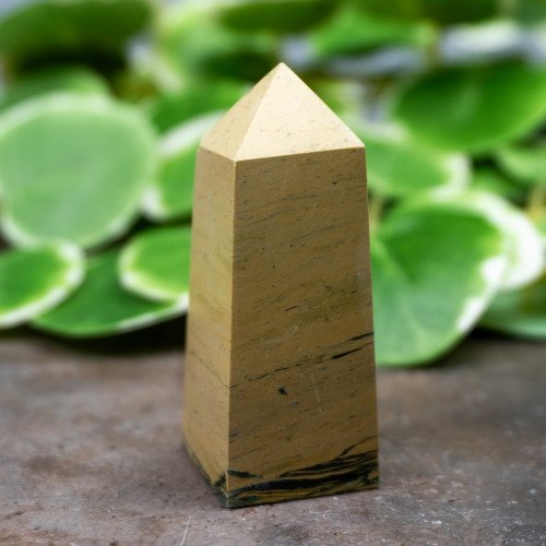Epidote in Serpentine Tower #5