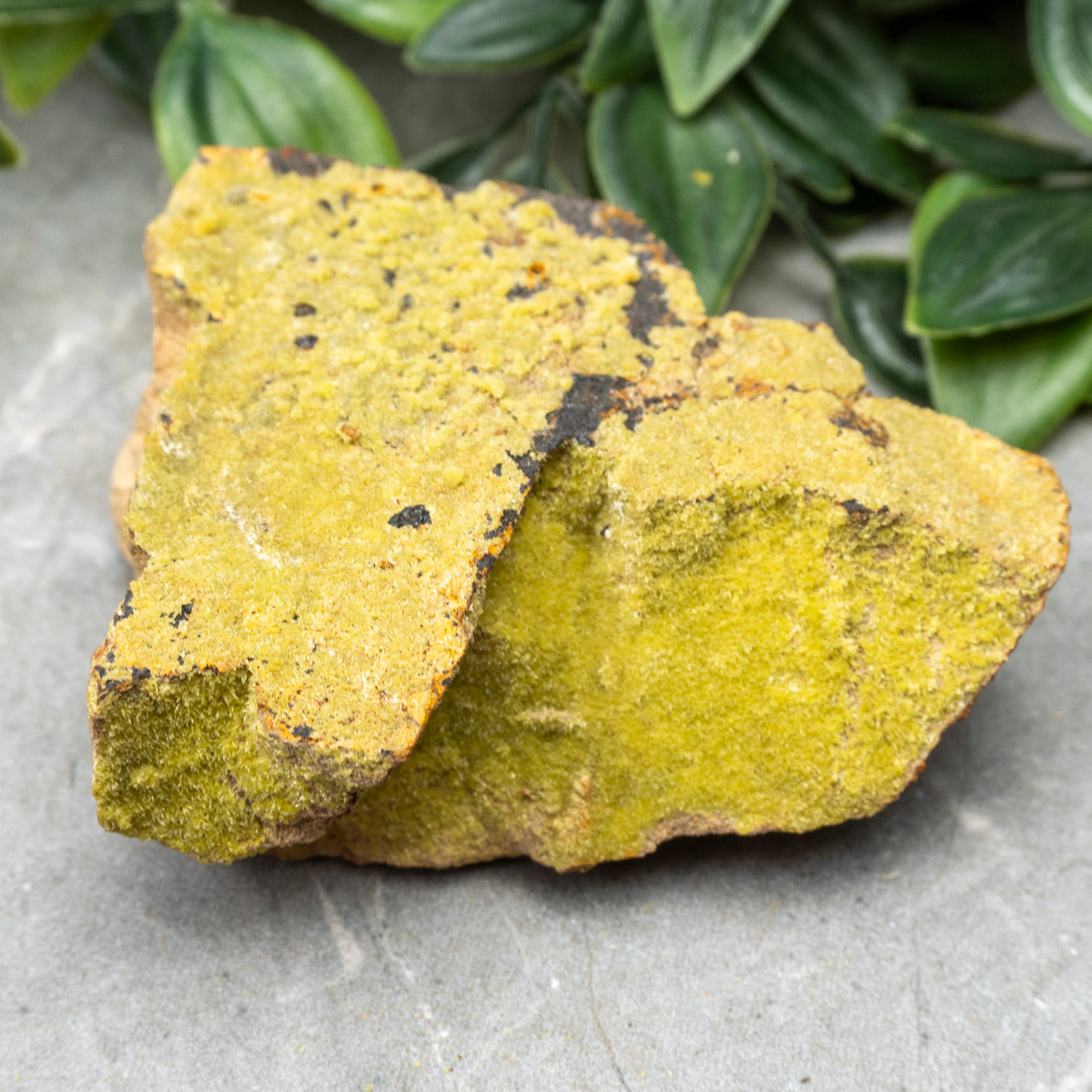 Pyromorphite #9