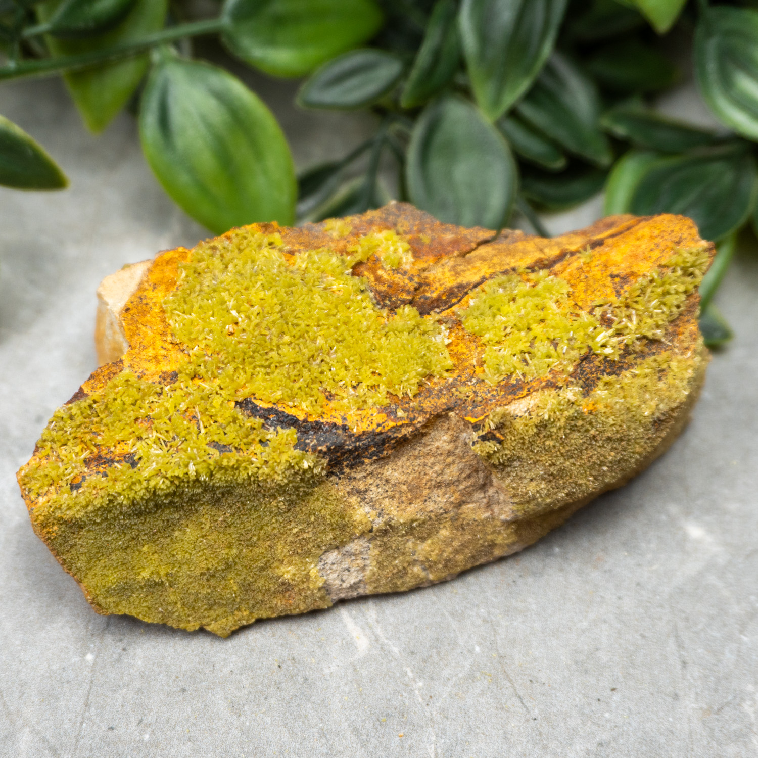 Pyromorphite #8