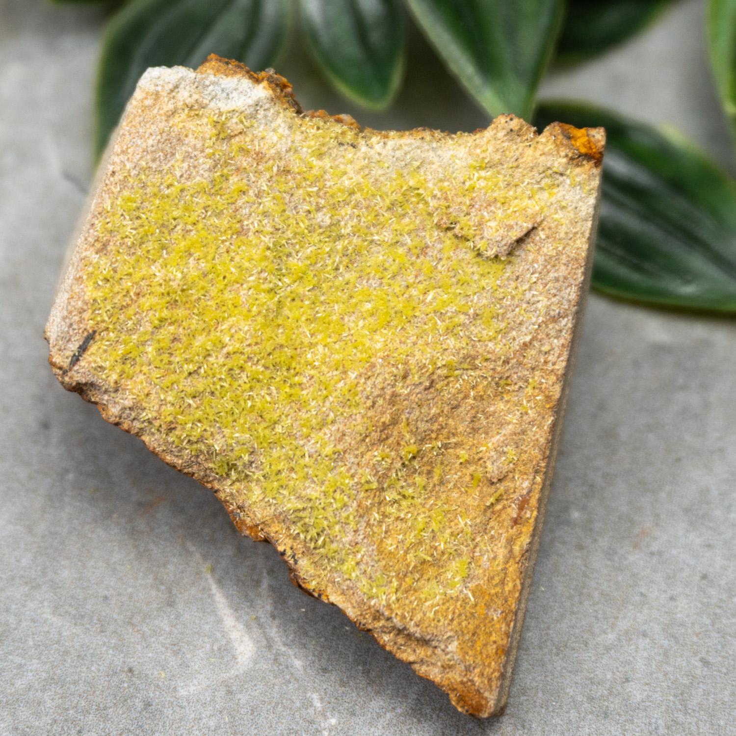 Pyromorphite #6
