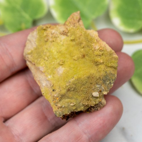 Pyromorphite #1