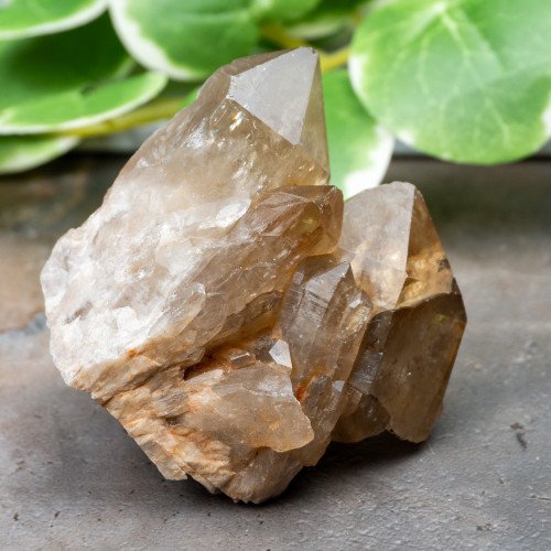 Kundalini Citrine #17