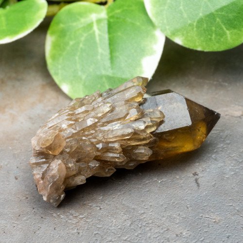 Kundalini Citrine #14