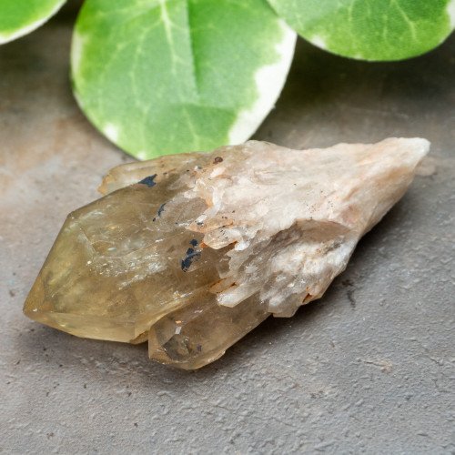 Kundalini Citrine #11