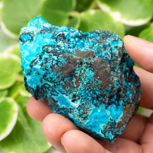 Raw Chrysocolla (New Mexico) #5