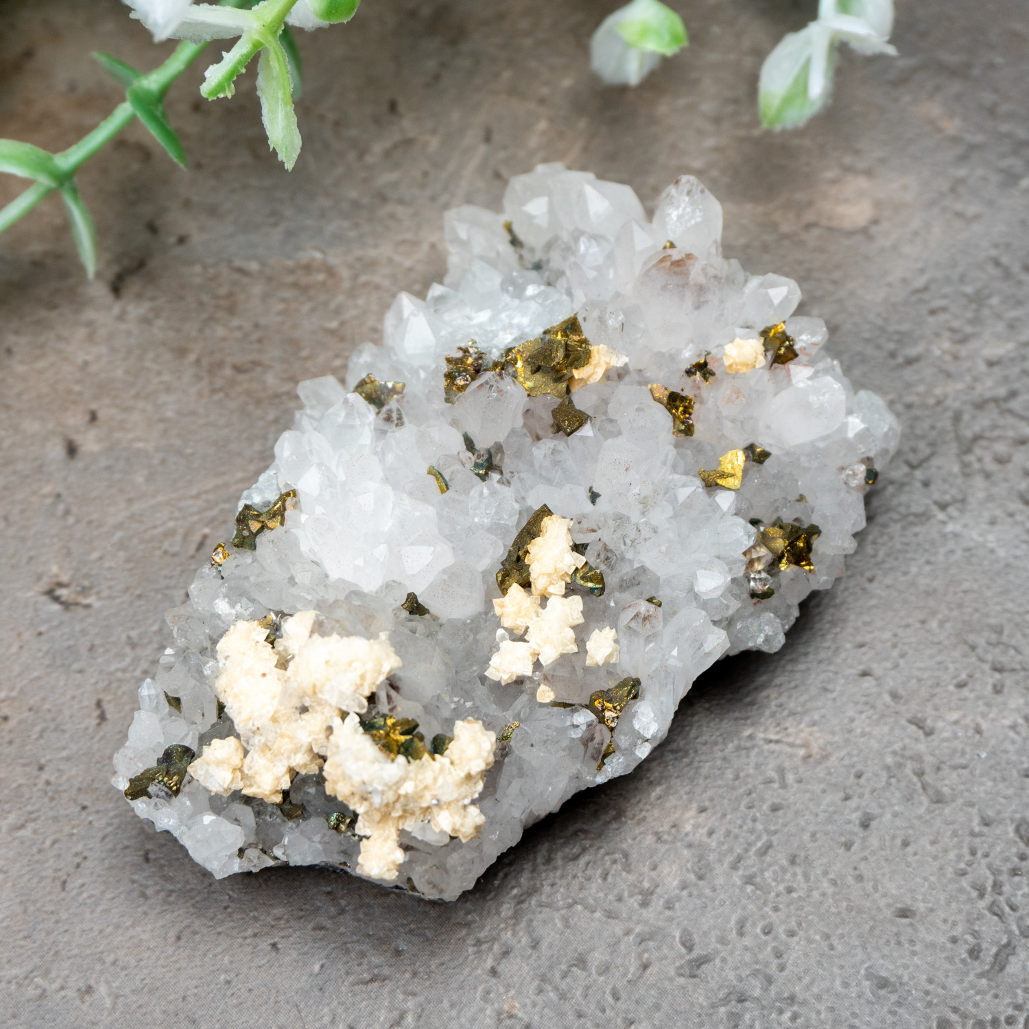 Chalcopyrite on Quartz #5