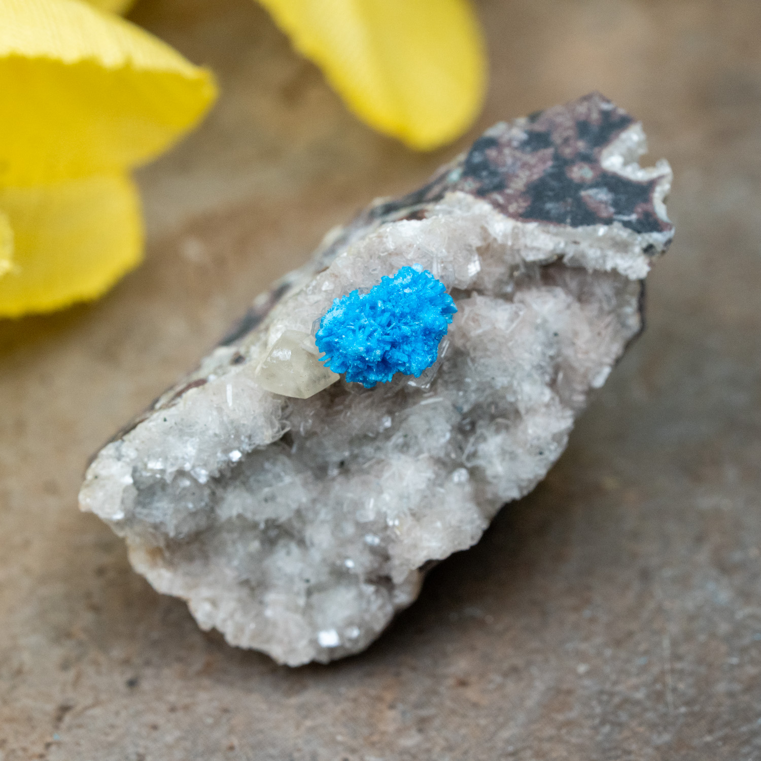 Cavansite #10