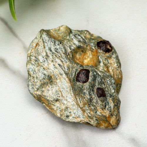 Garnet in Schist #1