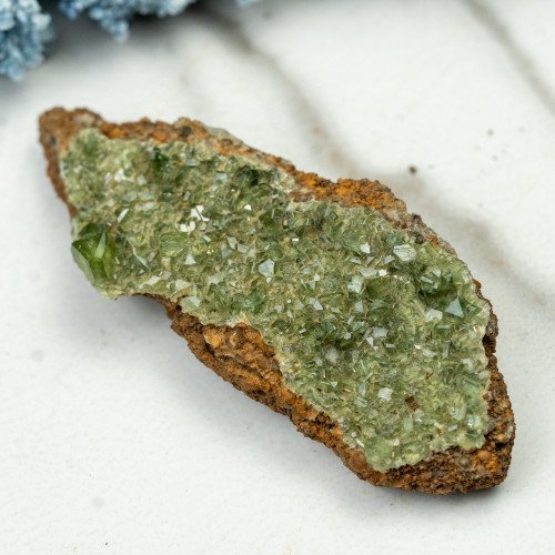 Ludlamite #7