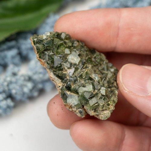 Ludlamite #6