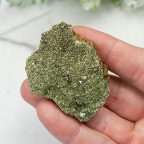 Ludlamite #1