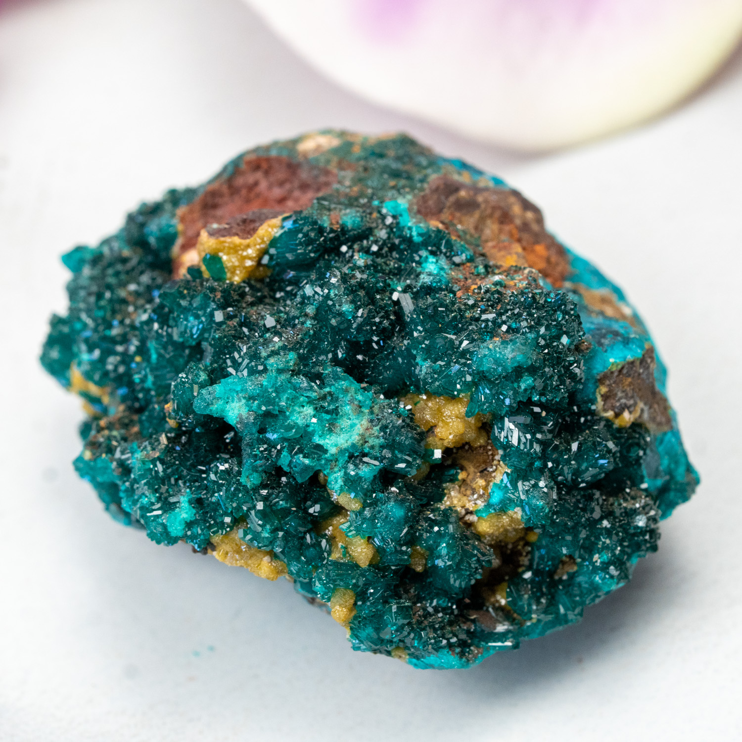 Dioptase with Mimetite #3