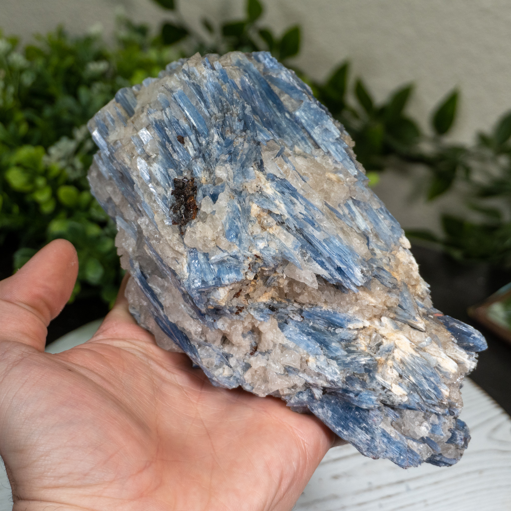 Blue Kyanite #6