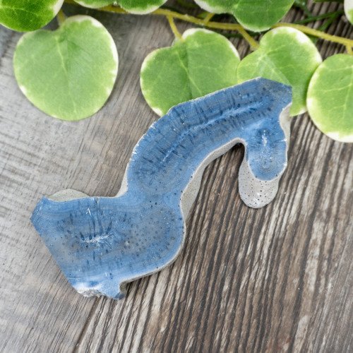 Blue Coral Slice #10
