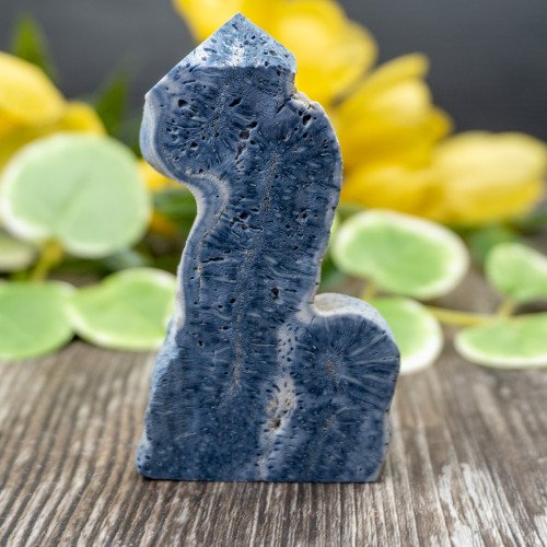 Blue Coral Slice #6