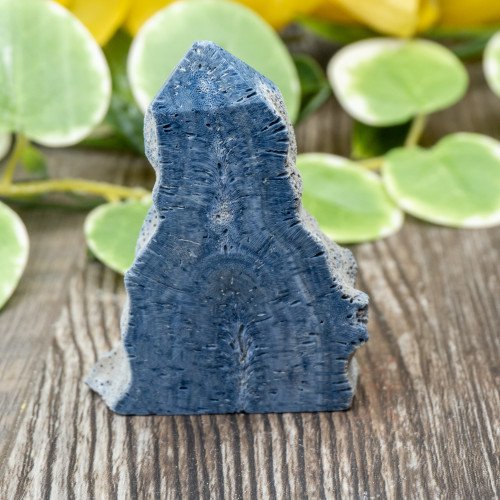 Blue Coral Slice #3