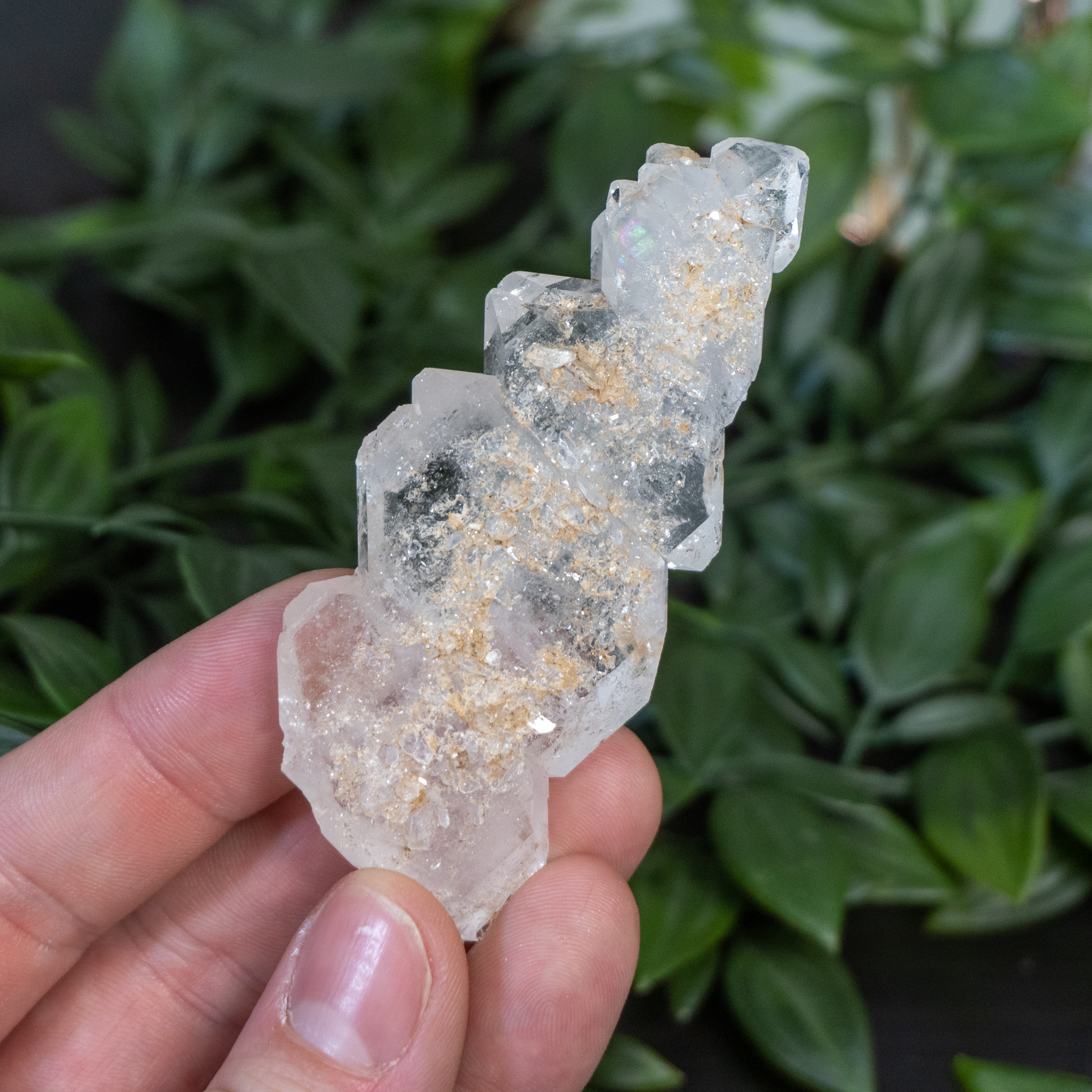 Faden Quartz #4