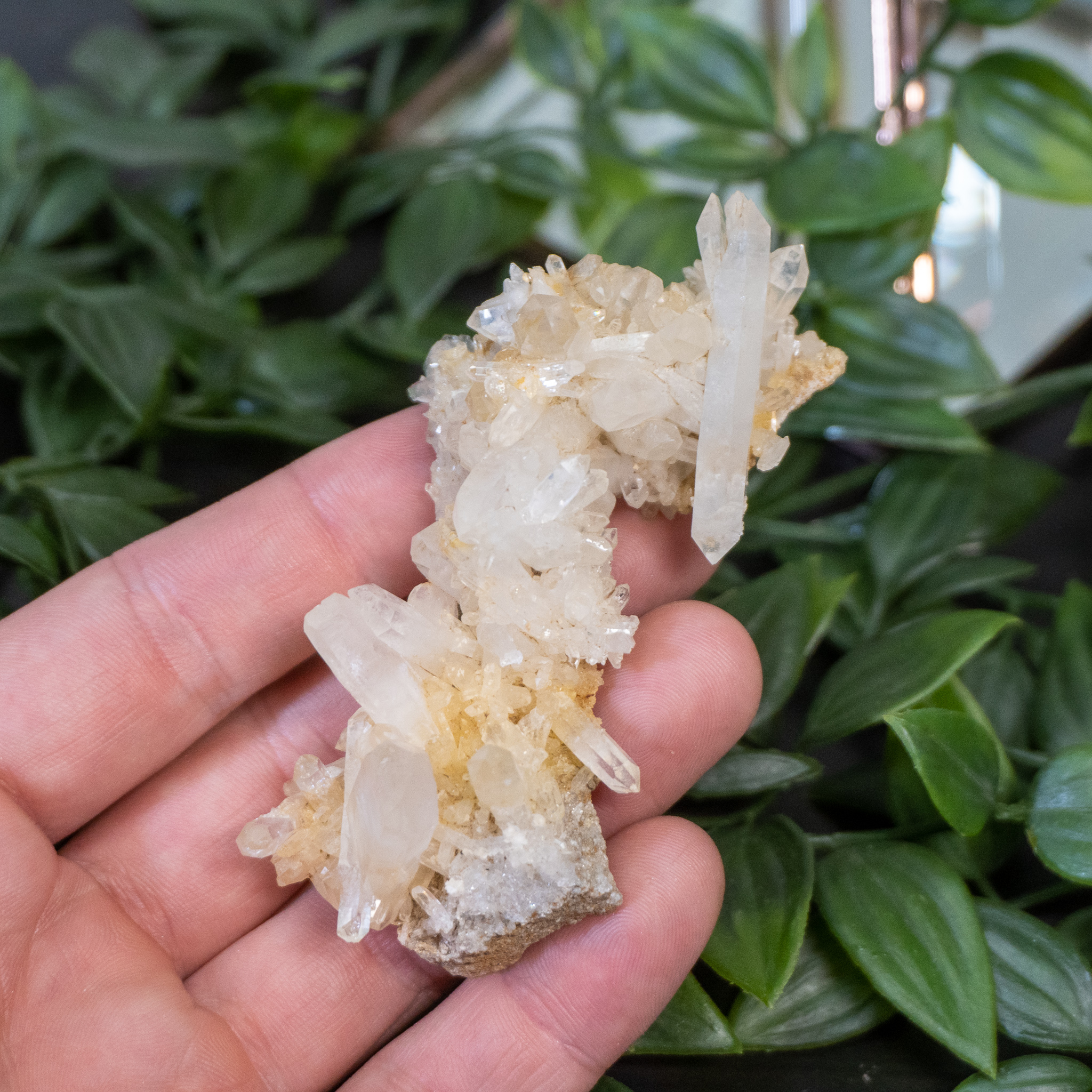 Faden Quartz #6