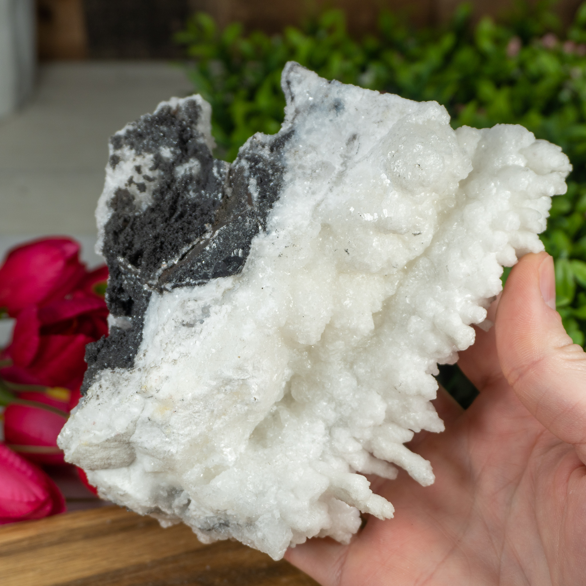 Raw White Aragonite #3 - The Crystal Council