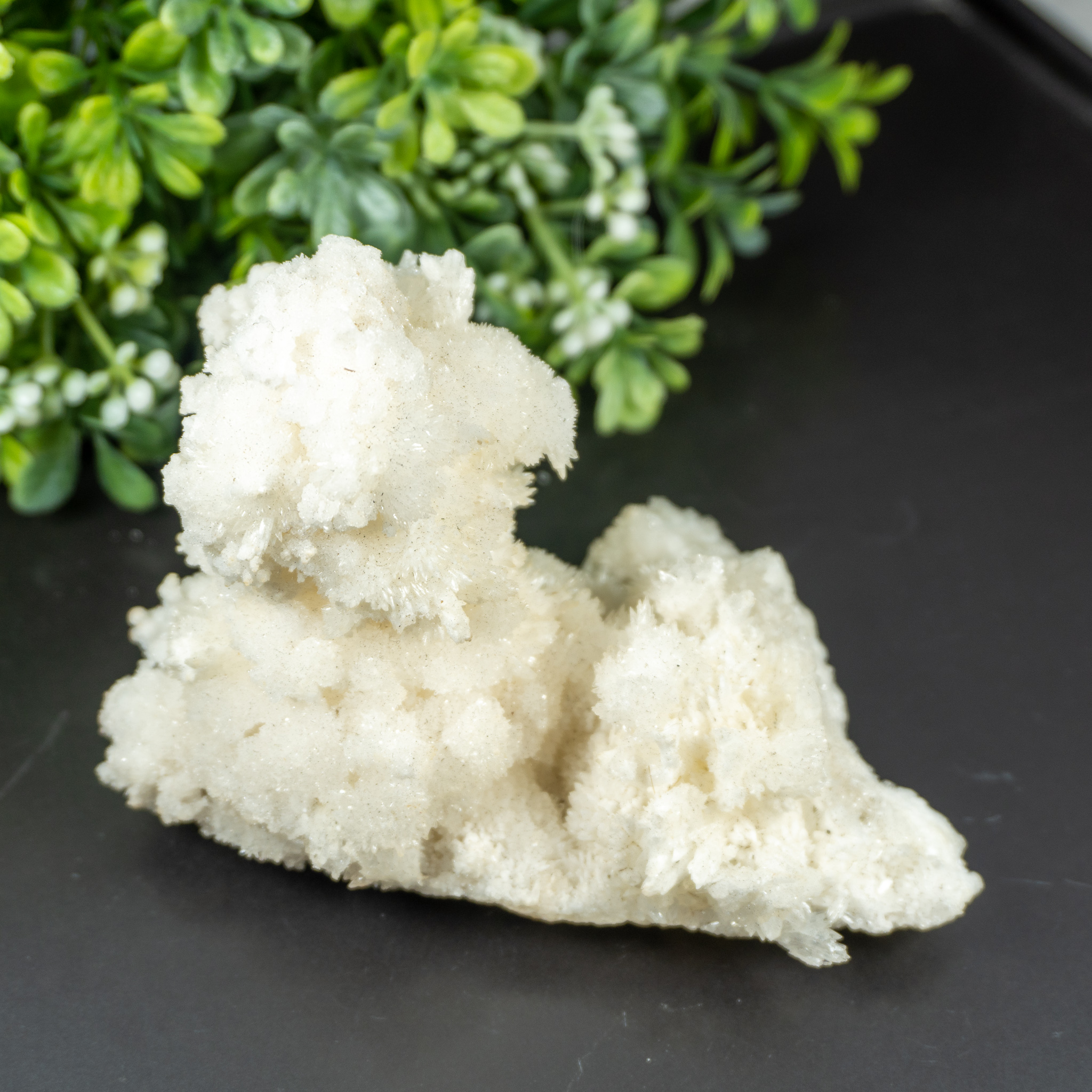 Raw White Aragonite #2 - The Crystal Council