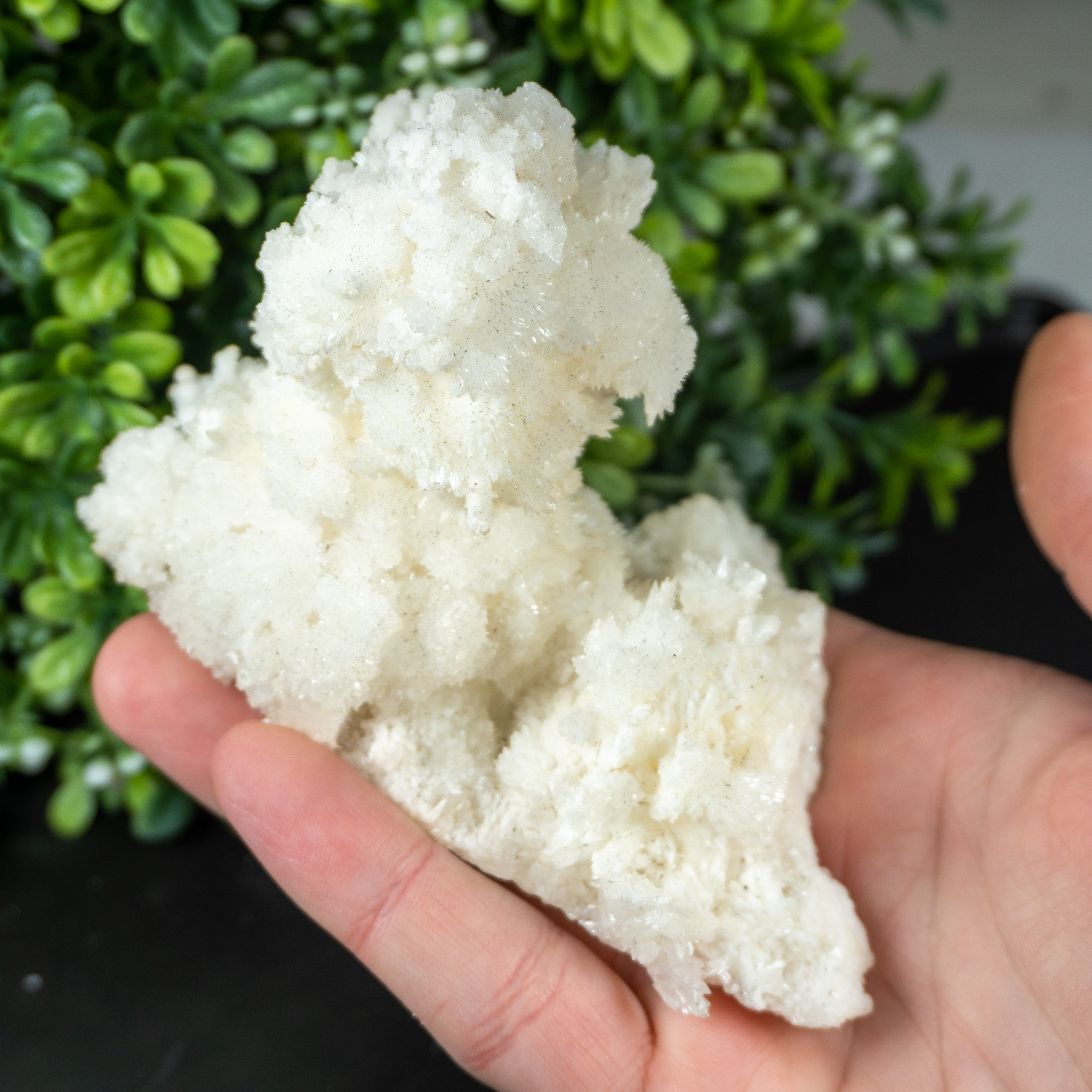 Raw White Aragonite 2 The Crystal Council