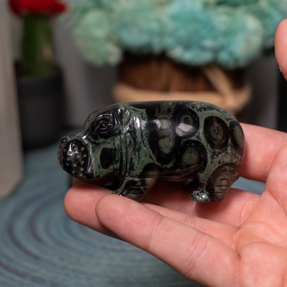 Kambaba Jasper Hippo