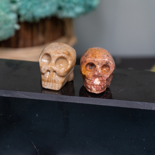 Dolomite Skull