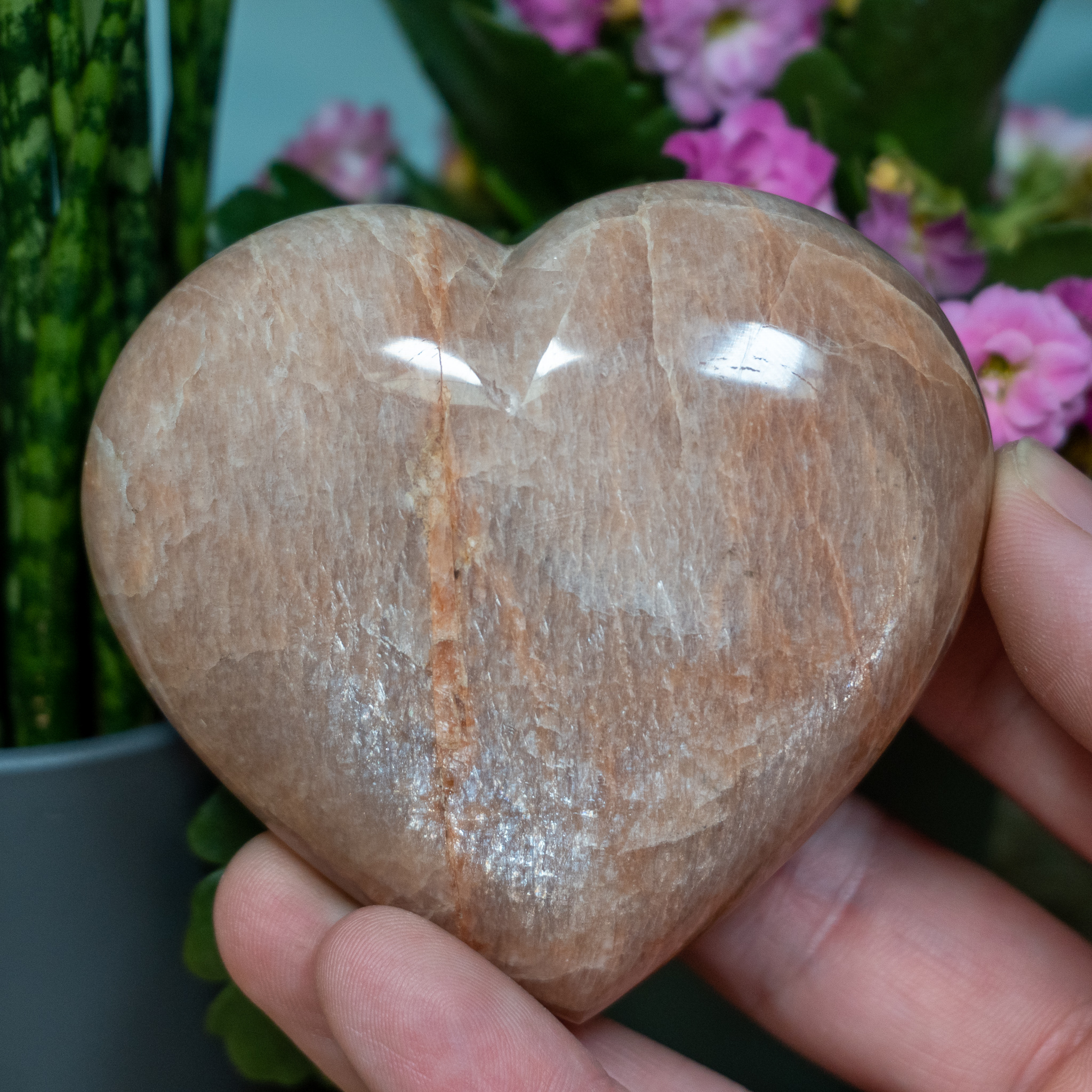 Peach Moonstone Hearts Peach Moonstone Hearts