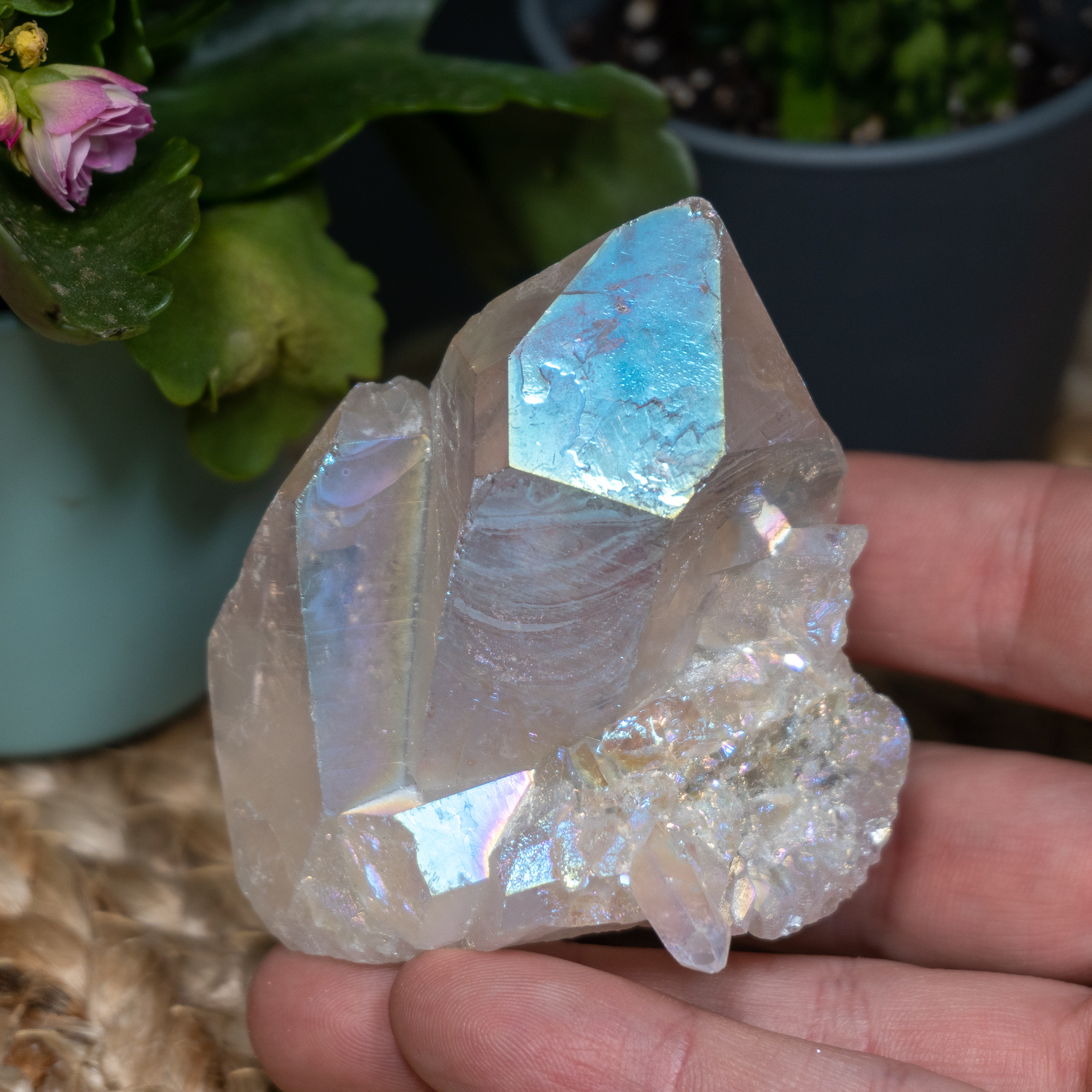 Aura Quartz #3 - The Crystal Council