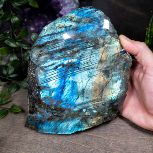 Large Half Polished Labradorite #6