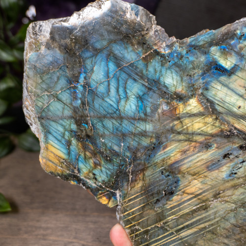 Large Half Polished Labradorite #4
