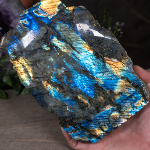 Large Half Polished Labradorite #1