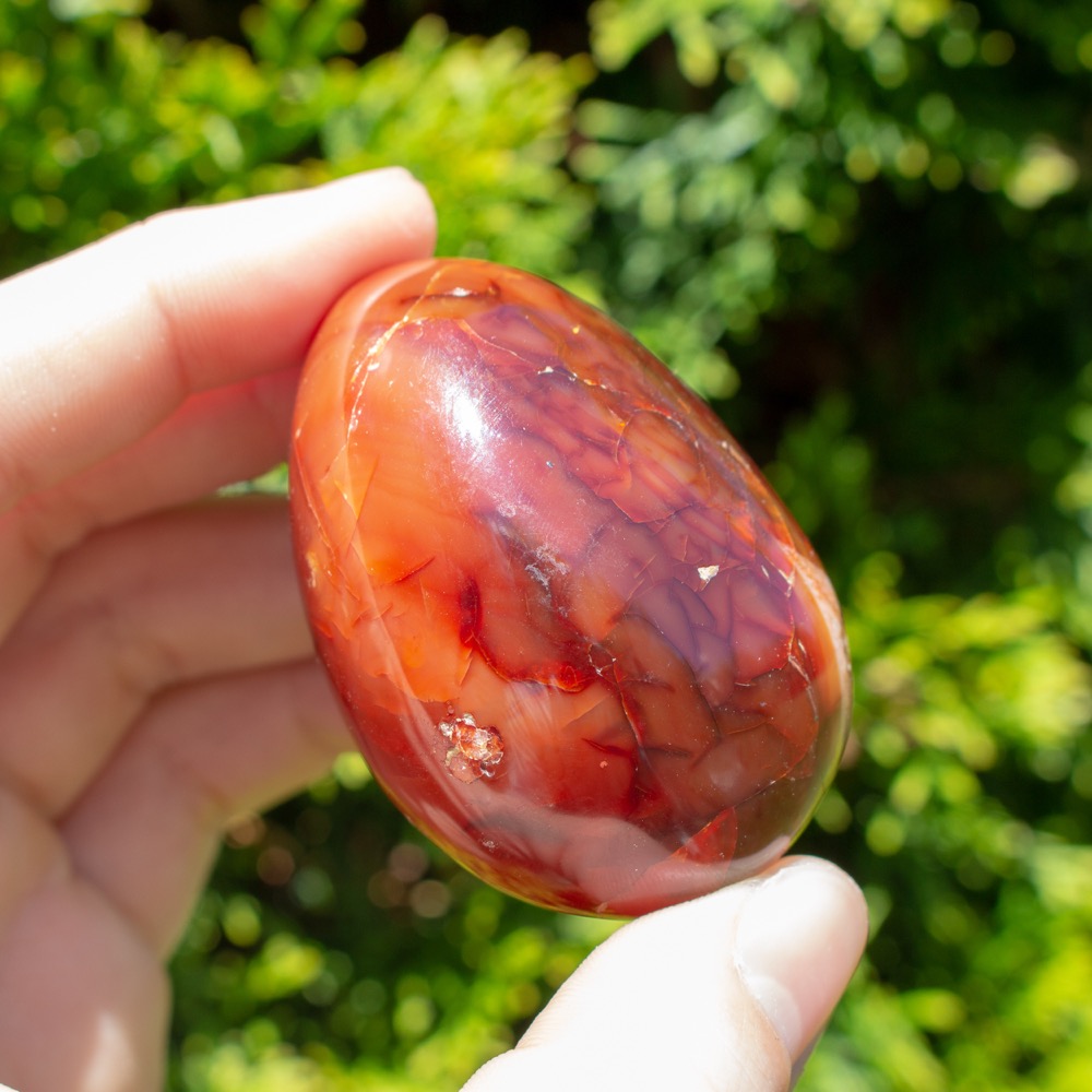 Large Polished Carnelian - The Crystal Council