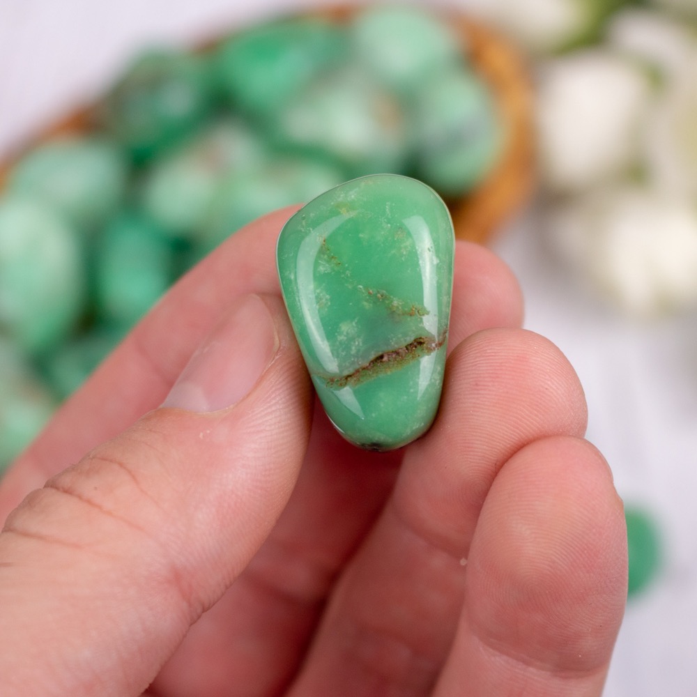 Chrysoprase Tumbled - The Crystal Council