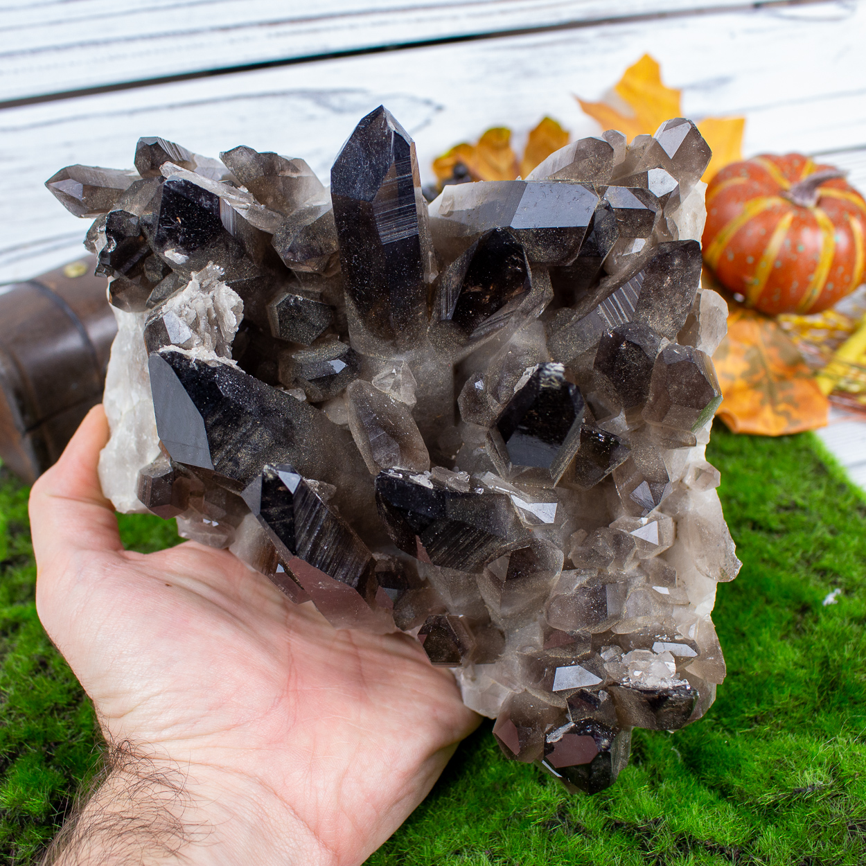 Smoky Quartz Family Cluster The Crystal Council